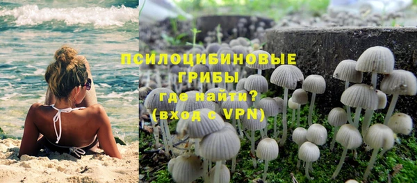 дмт Краснотурьинск