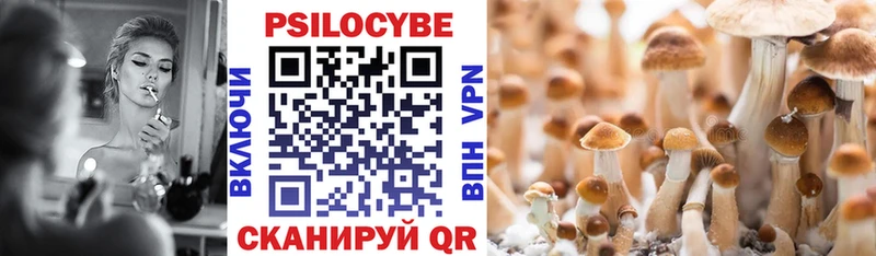 Псилоцибиновые грибы Cubensis  ссылка на мегу ТОР  Малоархангельск 